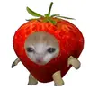 puffalin