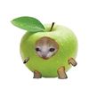 ....pomme