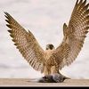 user76636084