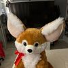 myfoxandi