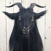 saintcritter