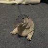 filipeeeno