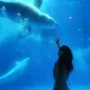hannah_dou