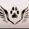 cat_girl_loves_you