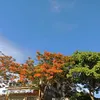 trytobest116
