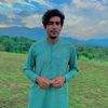 salmanshad7