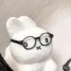1tiramissu4me