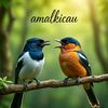 amalkicau