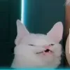 heitorpeixoto