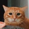 marsoff_tiktok