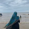 lisha.2103