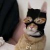 19meowndred_thugcat
