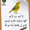usernwq1eu8q