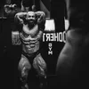 kylraggio.ifbbpro
