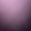 user88837892017