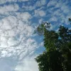 tran.nghi.ne