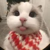 baoobbi._