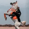 الـعوجــاَ 🏹 𓃗