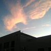 isux_292