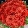 user5d7f0fxbgb