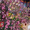 rubychen26