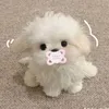 hang_hvt
