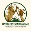 ontiretsewadikgomo