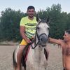 palcui
