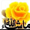 hagarmohamed7912