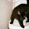 kuwezinho