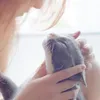 شروق الشمس