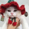 thecatlilooooo