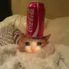 tikketokker_