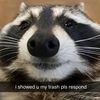 shaggymytortoise