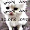 koshehka228