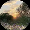 abbod_440