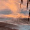 summerfarnsworth6
