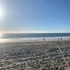 beachluvr6677