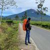 armandoanggi