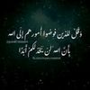 user76qfx4tskg