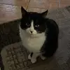 nadiiiiinchen