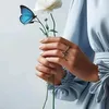 zz__tt22