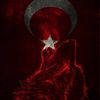 shailjarouhi0