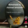 fartuunmohamedelmi
