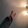 hereforthecatvideos_