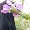 zainab__95__ali