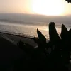 rimkhadija12