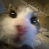 _theodore.rabbitt_