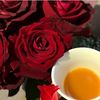 🌹الوايليه🌹