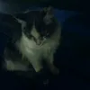 kitknowme